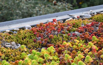 the cost of Nettleton Top green roof installation
