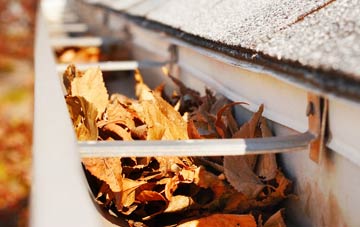 Nettleton Top gutter cleaning companies
