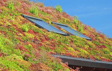 Nettleton Top living roof systems