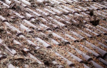 Nettleton Top roof cleaning companies